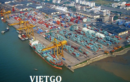 gạo việt nam